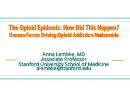 Watch How Did This Happen? Unseen Forces Driving Opioid Addiction Video