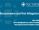 Watch Ransomware &amp; Risk Mitigation Video